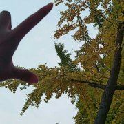 我最爱的鑫宝宝