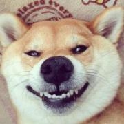 长谷川资深模仿者