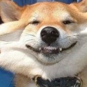 小佳是个好孩纸