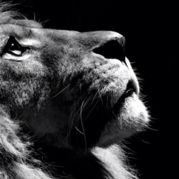 心情变化浮动大