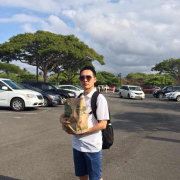 铮铮法宝爱美宝