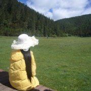 不吐泡泡的鲸鱼