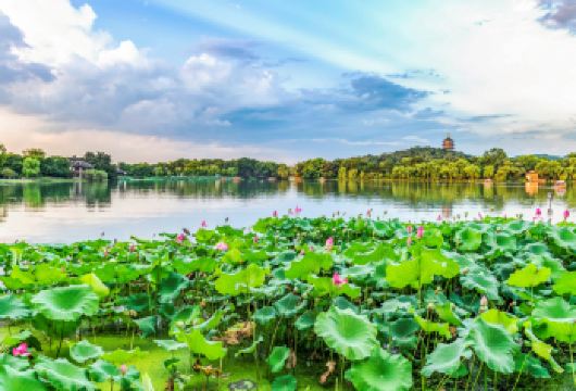 杭州西湖全景一日游（导游深度讲解·含西湖游船·登雷峰塔）【[行程轻松]游玩西湖经典路线，时间充足，不浪费时间】
