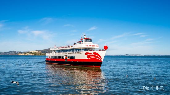 Red and White Fleet