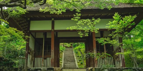 常寂光寺