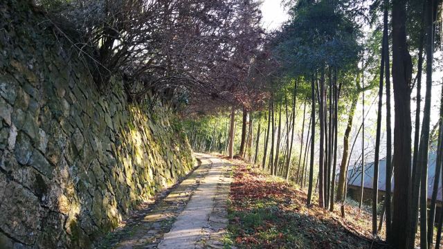 莫干山景區