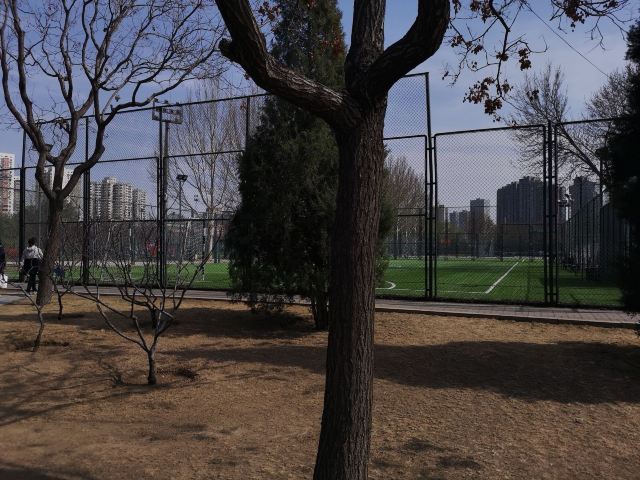四得公园旅行图片 3