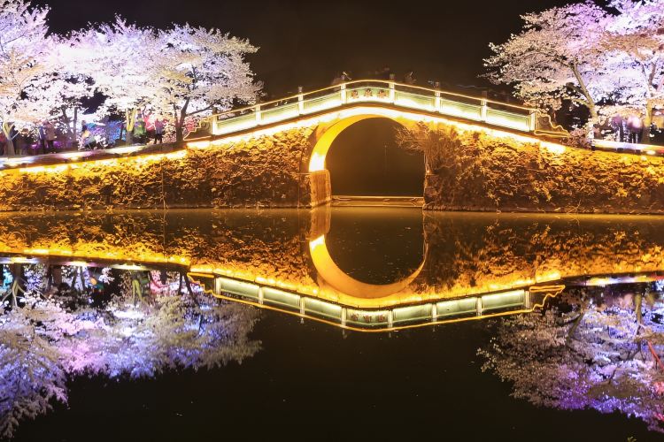 The Turtle Head Park