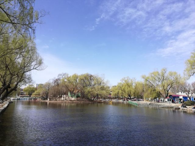 青年湖公园旅行图片 2