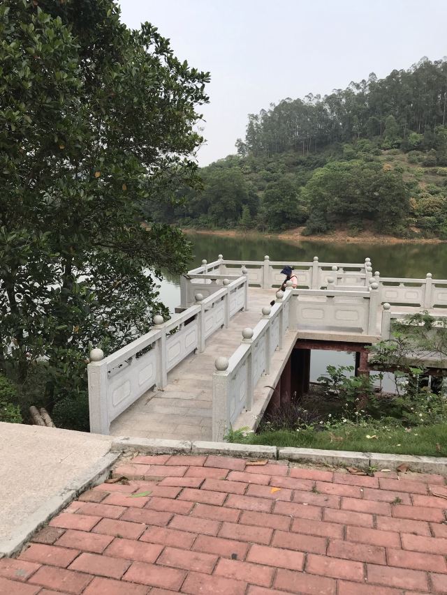黄牛埔森林公园旅行图片 2