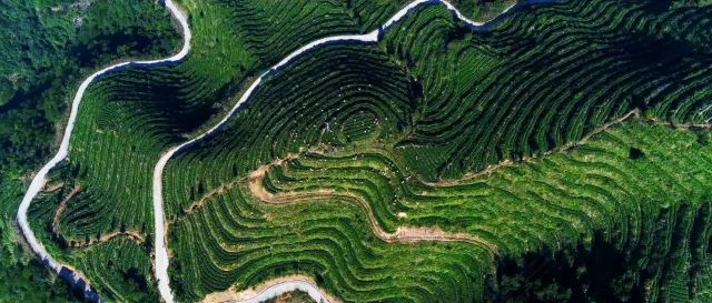 国心绿谷景区旅行图片 1
