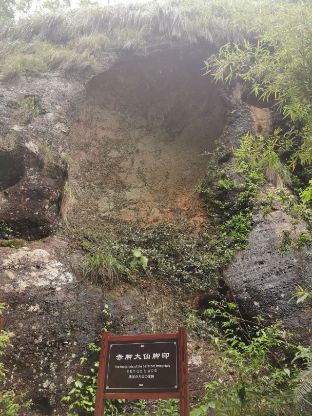 青龙岩风景区旅行图片 3