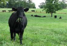 Atlantic Farms景点图片