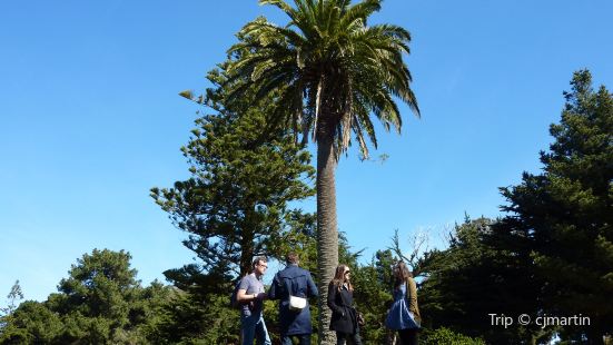 Sutro Heights Park