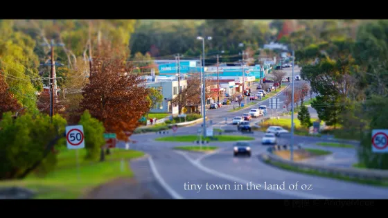 Tiny Town