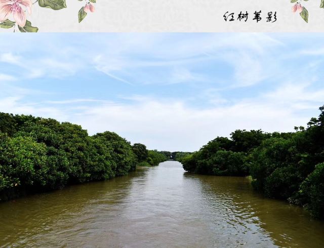 南沙