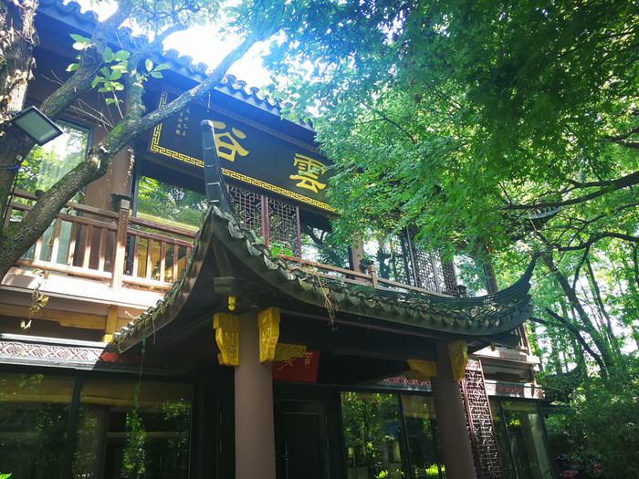 Gallery 3