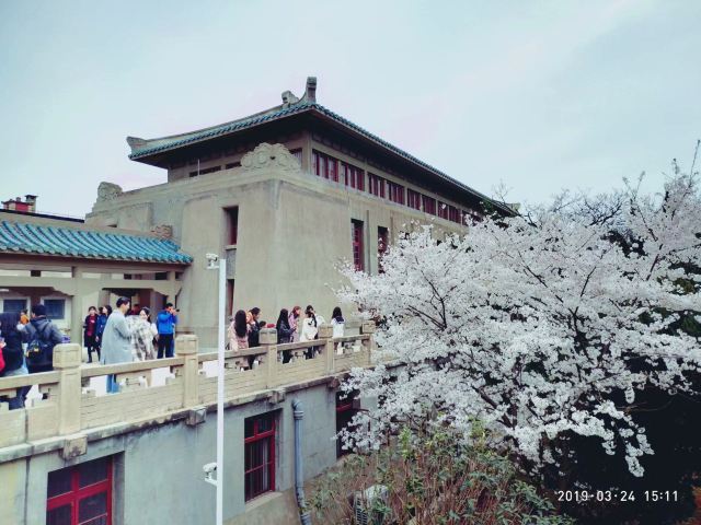 武汉大学信息学部-竹园旅行图片 6