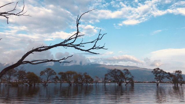 黄龙潭公园旅行图片 1