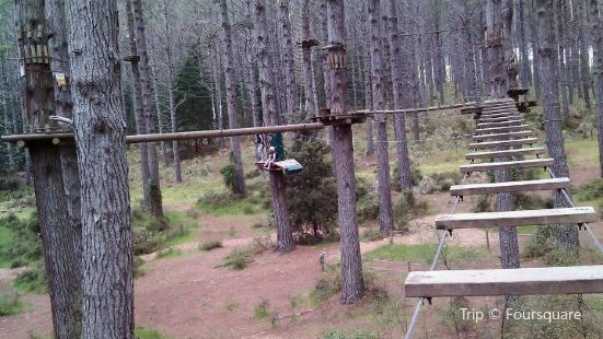Tree Adventures