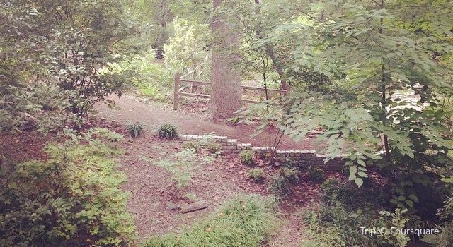 Unc Charlotte Botanical Gardens Travel Guidebook Must Visit