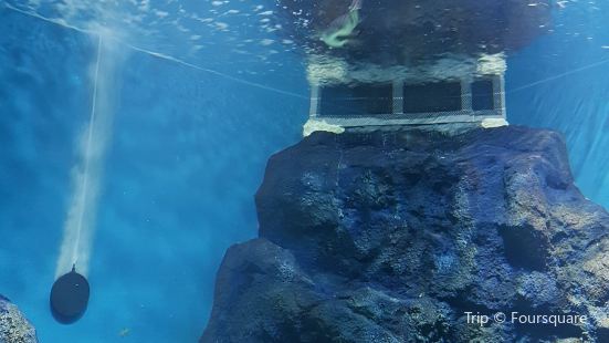 Alive Aquarium Daegu