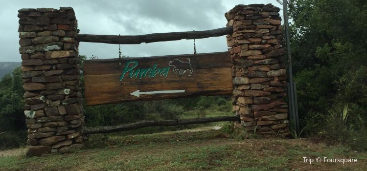 Pumba Private Game Reserve Day Safari Travel Guidebook Must Visit