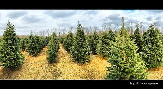 Pine Tree Barn Travel Guidebook Must Visit Attractions In Ohio