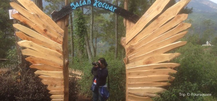 Taman Langit Gunung Banyak Tickets Deals Reviews Family