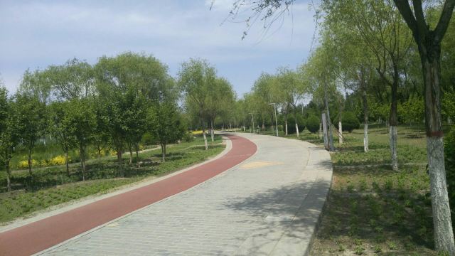 新区人民公园旅行图片 4