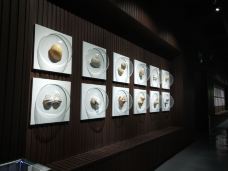 贝壳王国-秦皇岛-YoYo_4S8V1Y5E