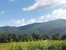 九峰山养心谷旅游度假区-伊春-YoYo_7Q6K0G8V