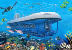 库拉索岛游记图片] 想要更好的探索加勒比海底世界，在库拉索没有什么不可能！