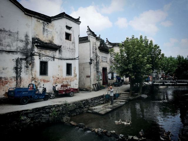 芹川村