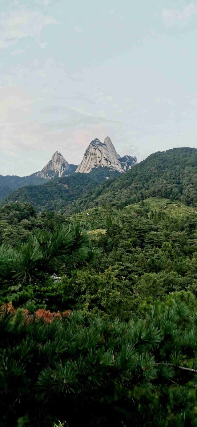 富春桃源