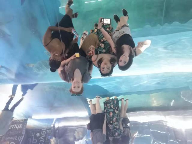 Busan Aquarium