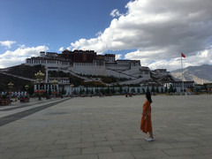 林芝游记图片] 烟火人间 梦中天堂---重庆西藏两地9日游