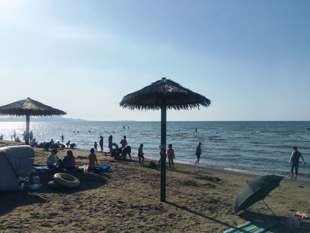 夏家河子海滨景区旅行图片 1