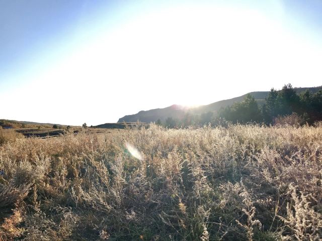 黄岗梁国家森林公园旅行图片 4