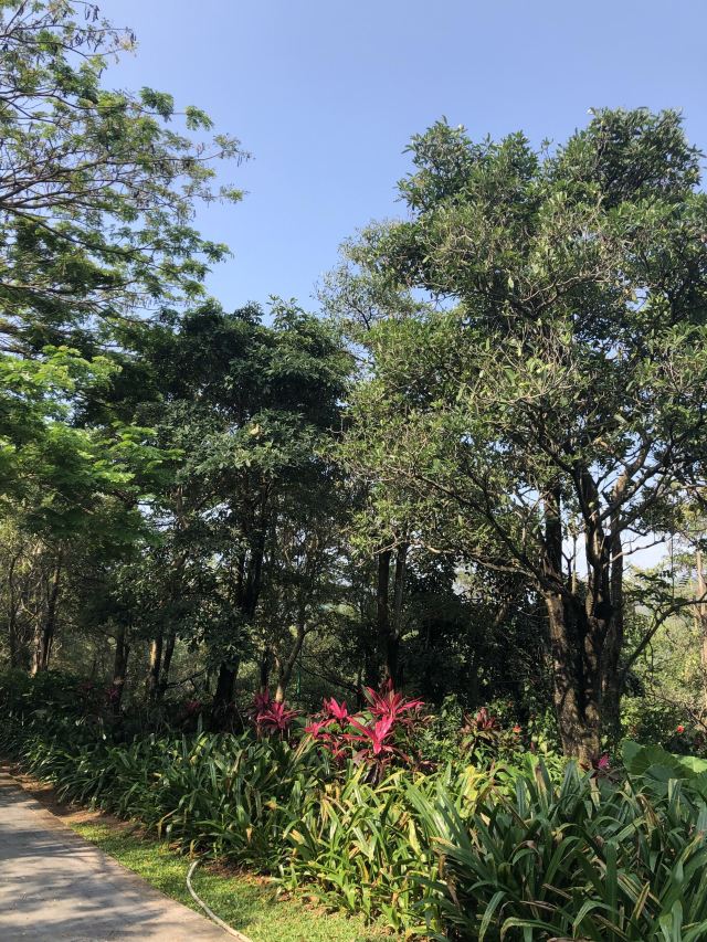 江浦公园旅行图片 3