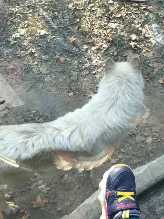 Shanghai Zoo