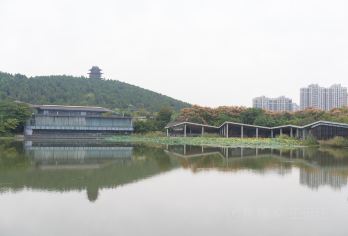 徐州汉文化景区|2H精讲资深讲师·10人小团·含耳麦趣味讲解【[金牌说讲师团]行业资深讲师和金牌导游，只做深度讲解，保证讲解质量！】