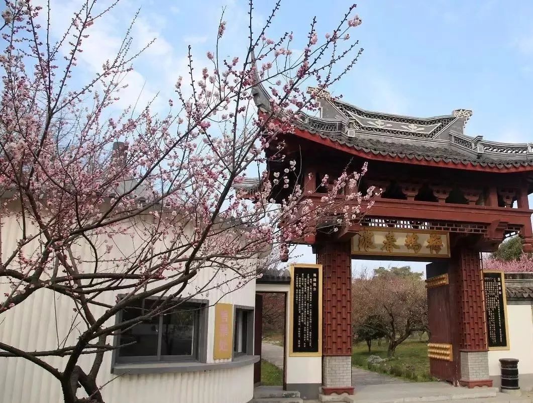 大观园梅园
