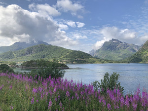 挪威游记图文-夏季去北欧四国避暑行（含罗弗敦群岛和挪威自驾十五天）
