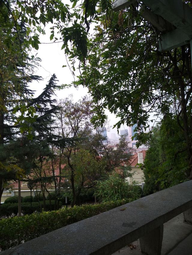 牛毛山公园旅行图片 2