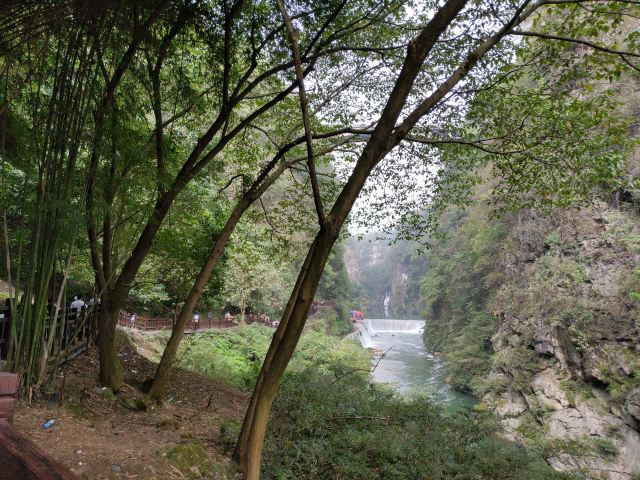洒金公园旅行图片 4