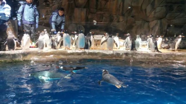 Ocean Park Hong Kong