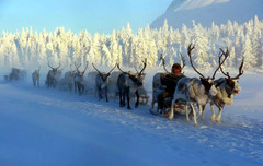 西伯利亚联邦管区游记图片] 全球最寒冷的村落：平均寿命竟达100岁，全年温差相差105度
