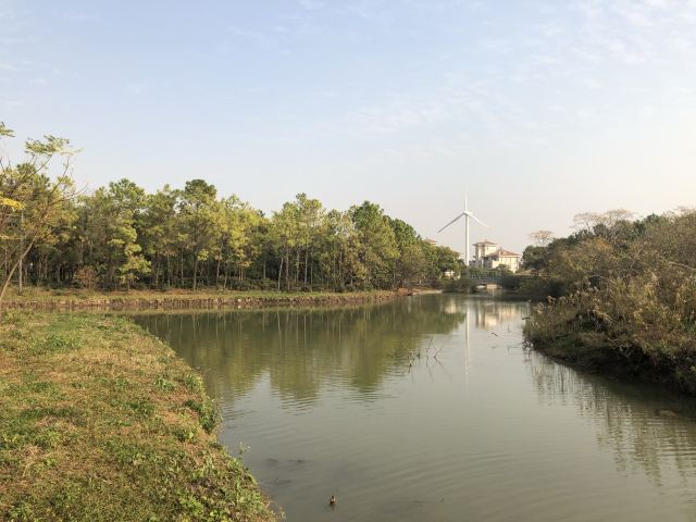 上海滨海森林公园旅行图片 4