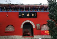 白草寺景点图片